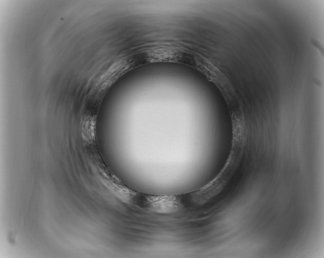 X0000102250191200807251330