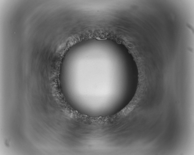 X0000102250192200807251330