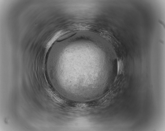 X0000102250195200807251330