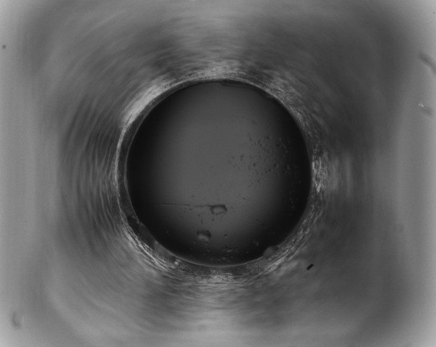 X0000102250196200807251330