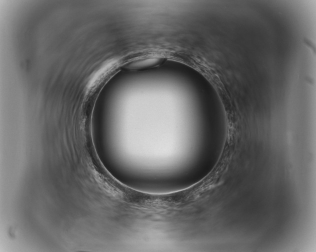X0000102250197200807251330