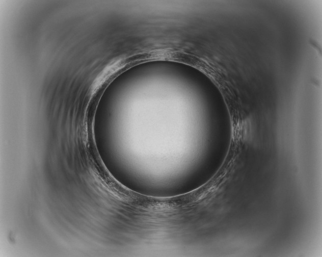 X0000102250198200807251330