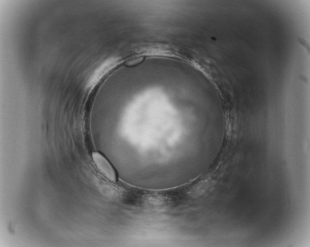 X0000102250199200807251330