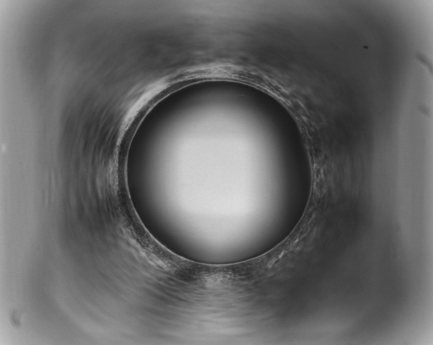 X0000102250200200807251330