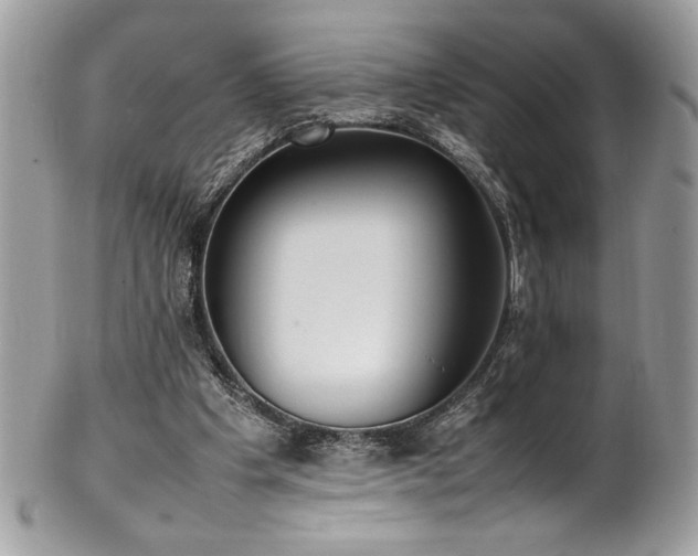 X0000102250201200807251329