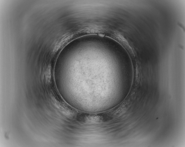 X0000102250202200807251329