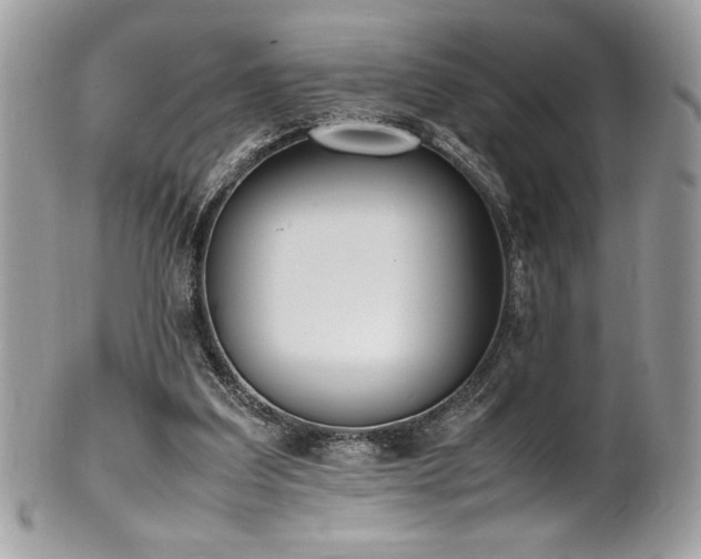 X0000102250203200807251329