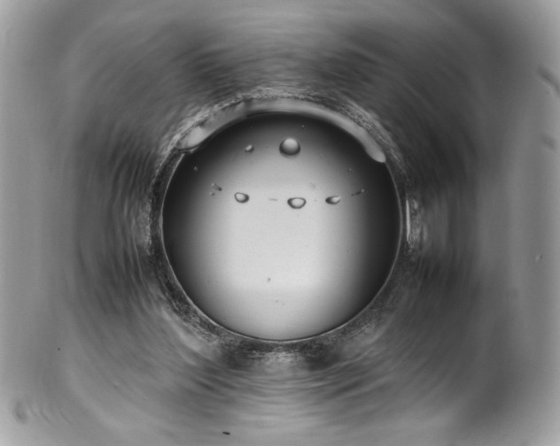 X0000102250204200807251329