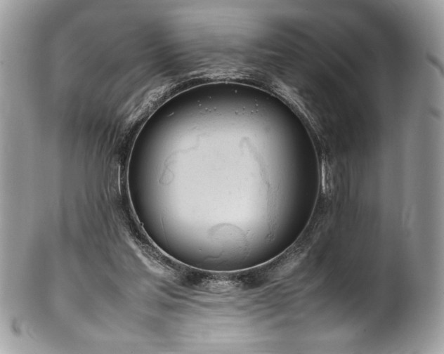 X0000102250205200807251329