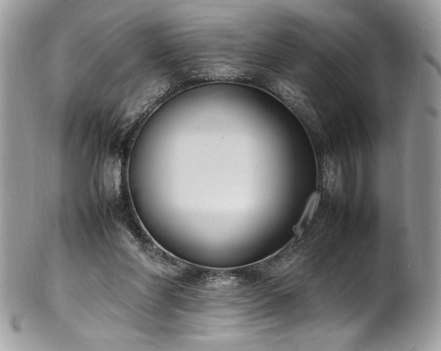 X0000102250206200807251329