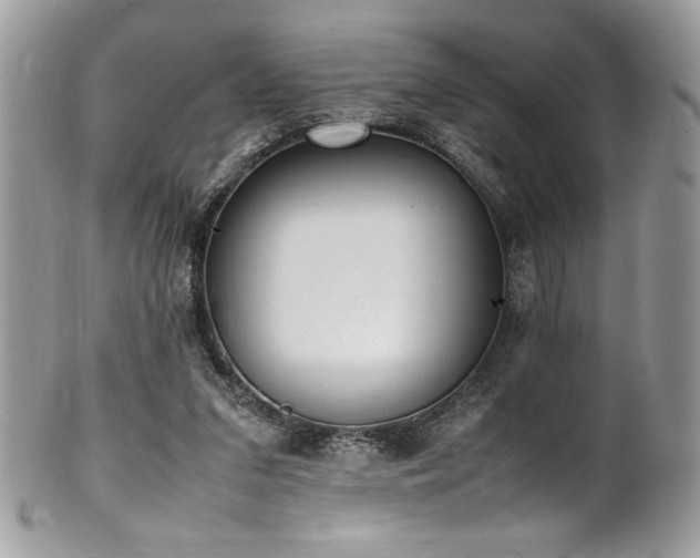 X0000102250207200807251329