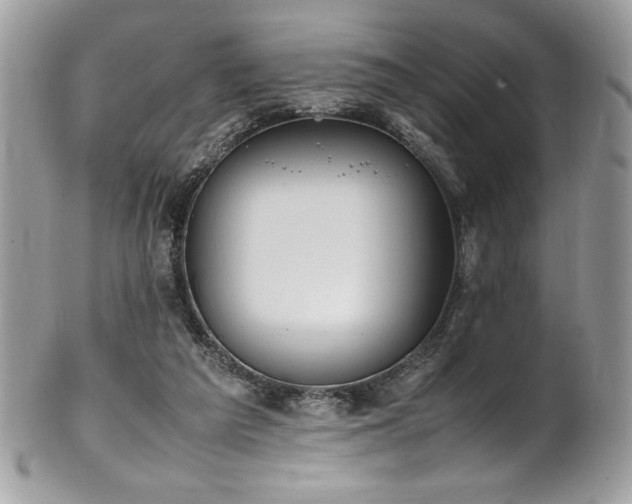 X0000102250209200807251329