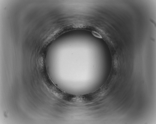 X0000102250211200807251329