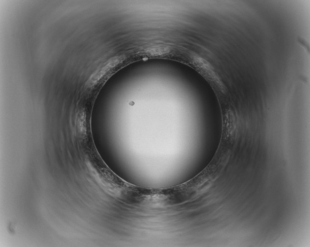X0000102250212200807251329