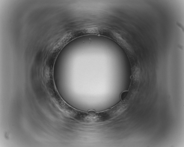 X0000102250213200807251329