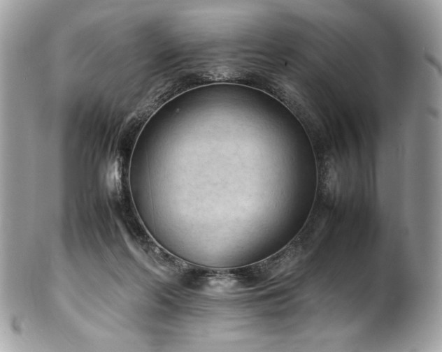 X0000102250214200807251329