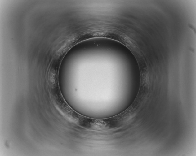 X0000102250215200807251329