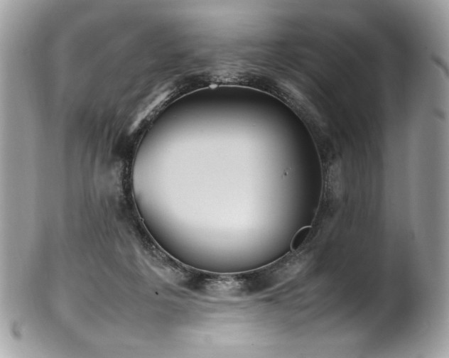 X0000102250217200807251329