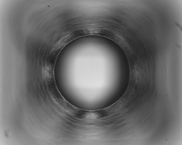 X0000102250218200807251329
