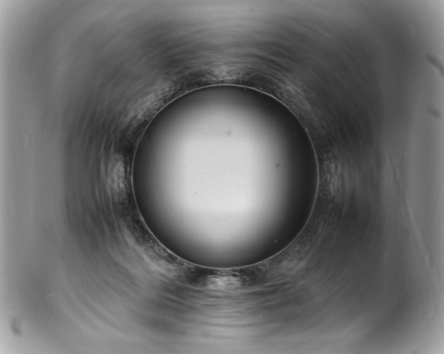 X0000102250220200807251329