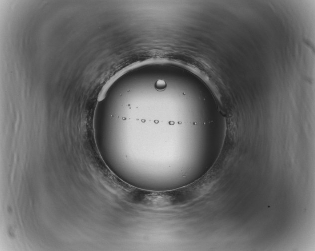 X0000102250221200807251329