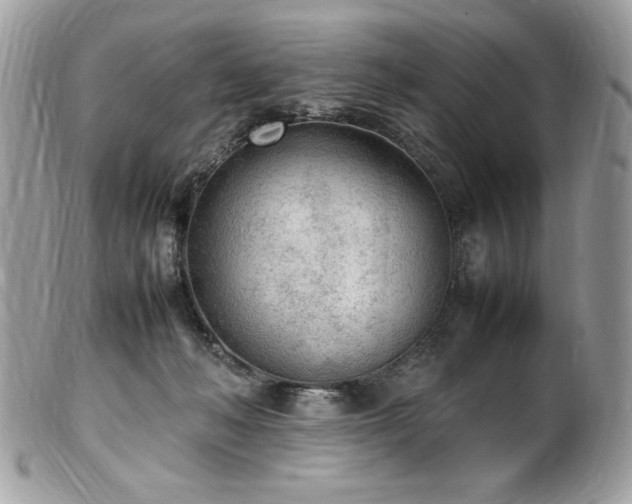 X0000102250222200807251329