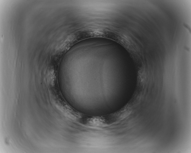 X0000102250223200807251329