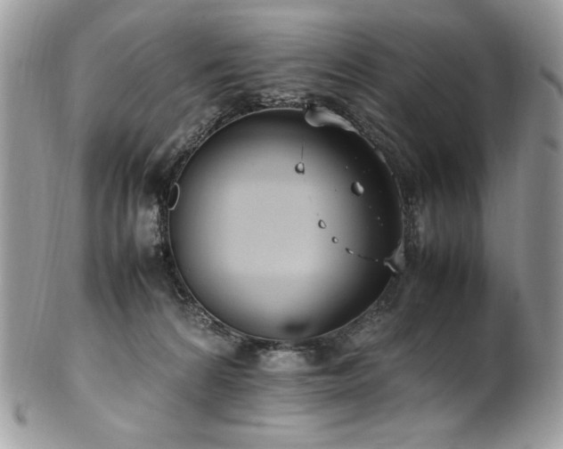 X0000102250224200807251329