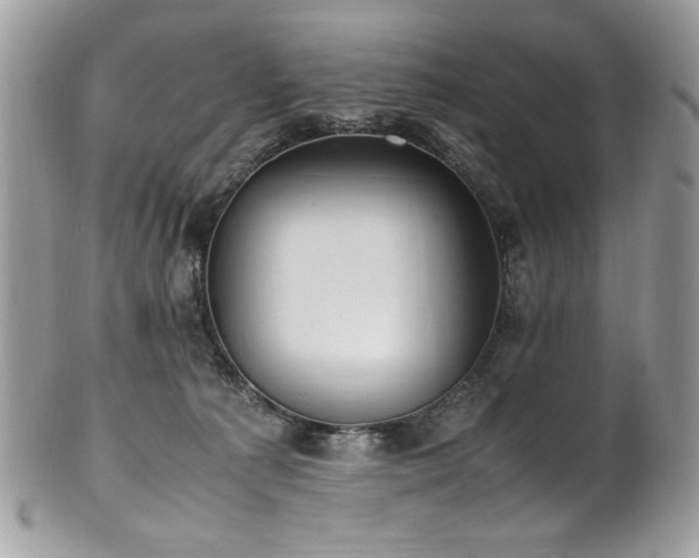 X0000102250225200807251329