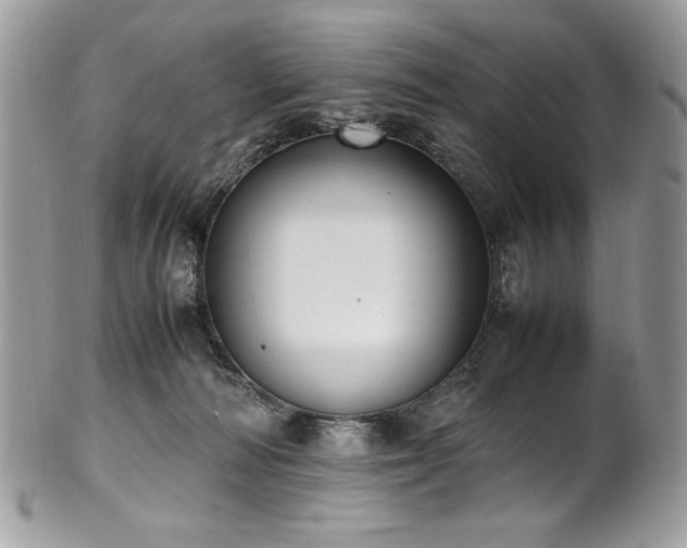 X0000102250226200807251329