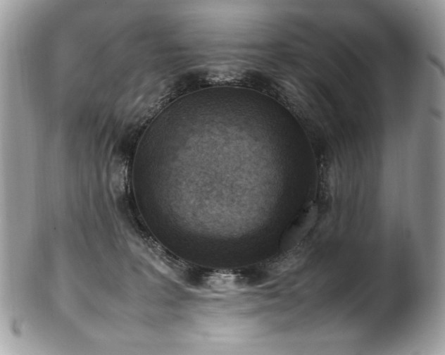 X0000102250227200807251329