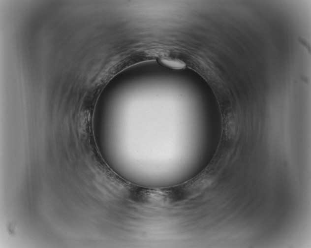X0000102250229200807251329