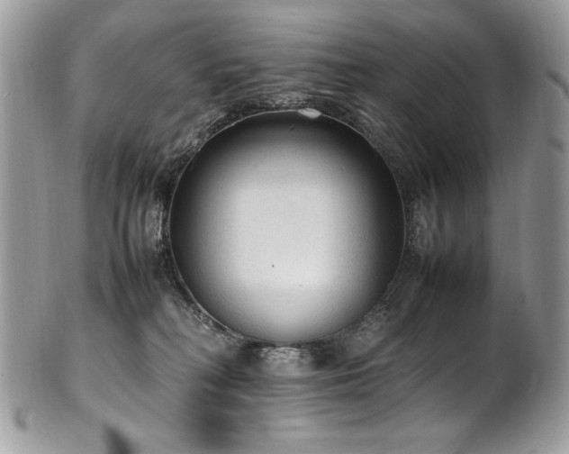X0000102250230200807251329