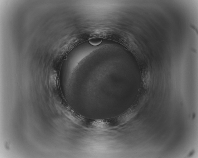 X0000102250231200807251329