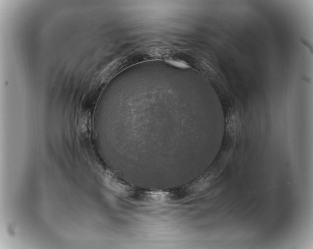 X0000102250233200807251329