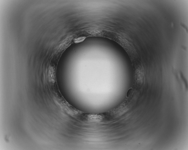 X0000102250234200807251329