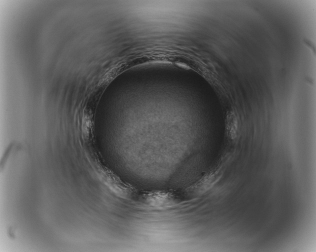 X0000102250235200807251329