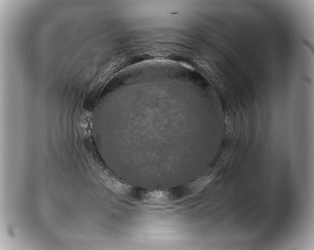 X0000102250237200807251329