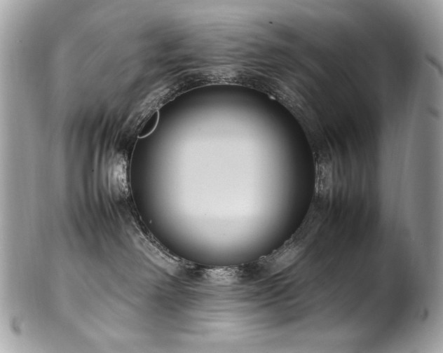 X0000102250238200807251329