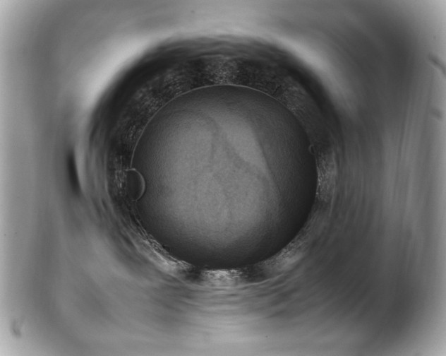 X0000102250239200807251329
