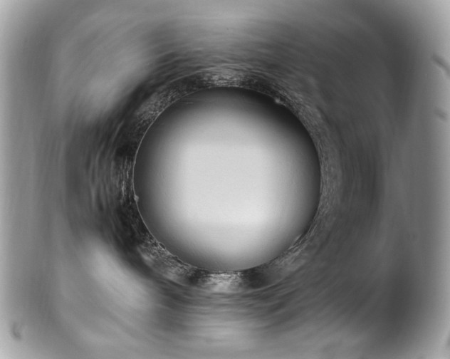 X0000102250240200807251329
