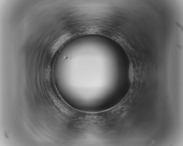 X0000102250242200807251328