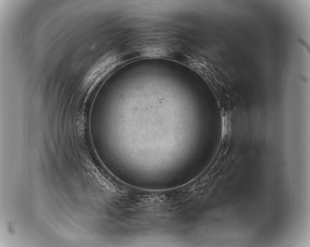 X0000102250243200807251328
