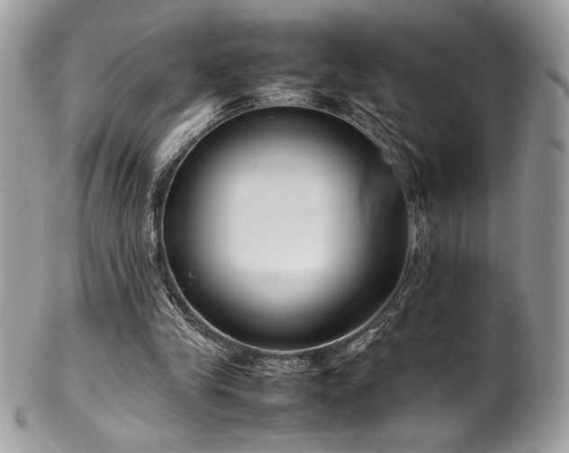 X0000102250245200807251328