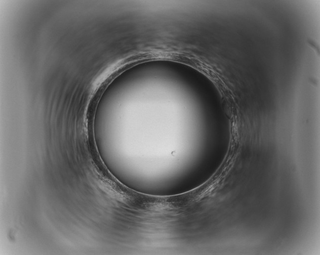X0000102250246200807251328