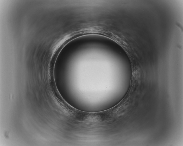 X0000102250248200807251328