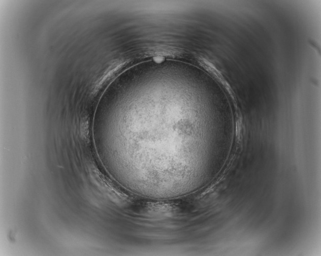 X0000102250249200807251328