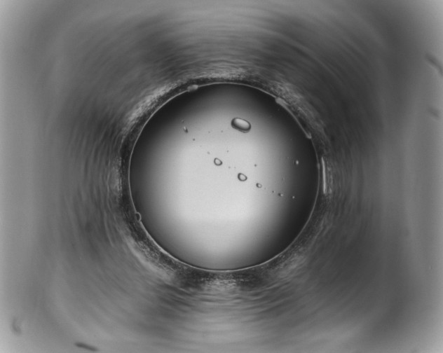 X0000102250252200807251328