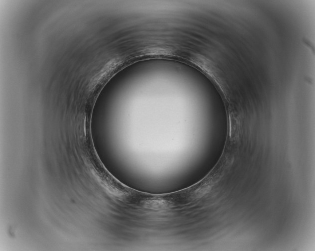 X0000102250253200807251328