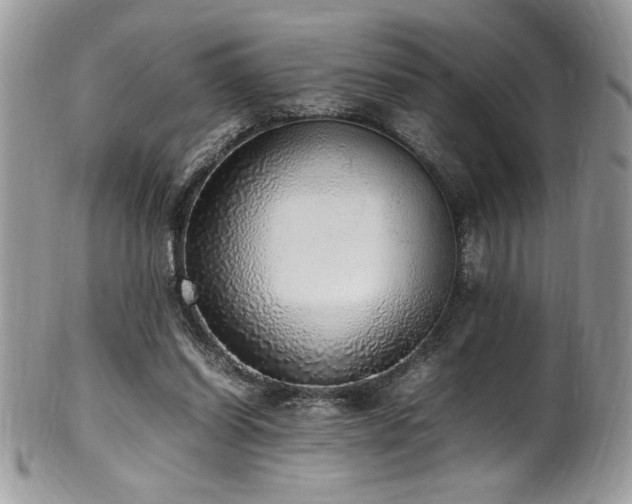 X0000102250254200807251328